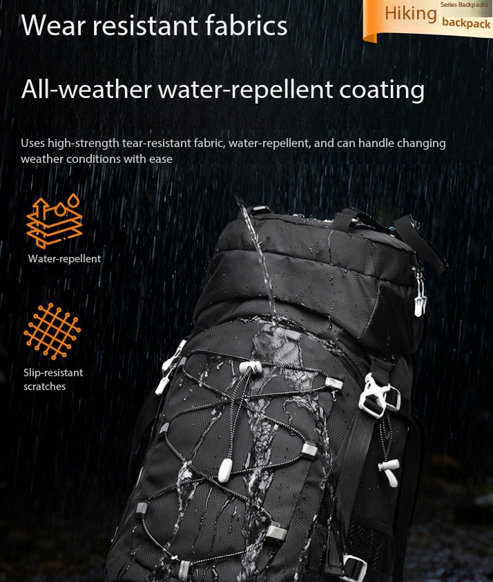 60L Large Capacity Professiona - Outdoor Camping Backpack review and price