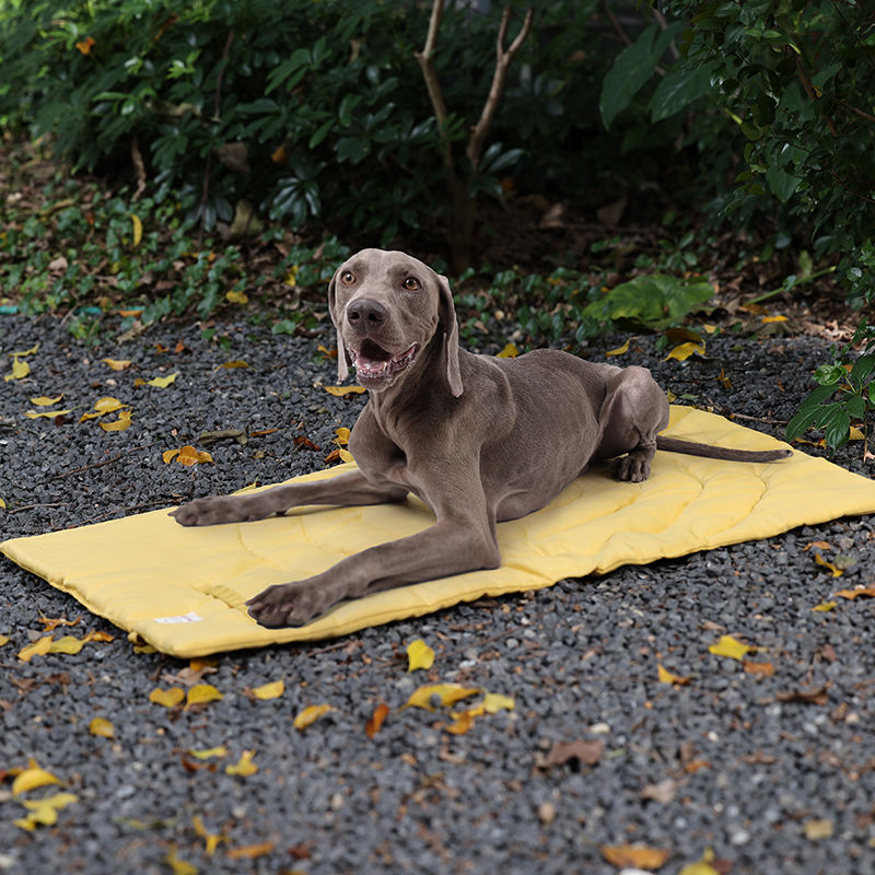 Portable Pet Mat Foldable Pet  - Outdoor Camping Rug Waterproof review and price