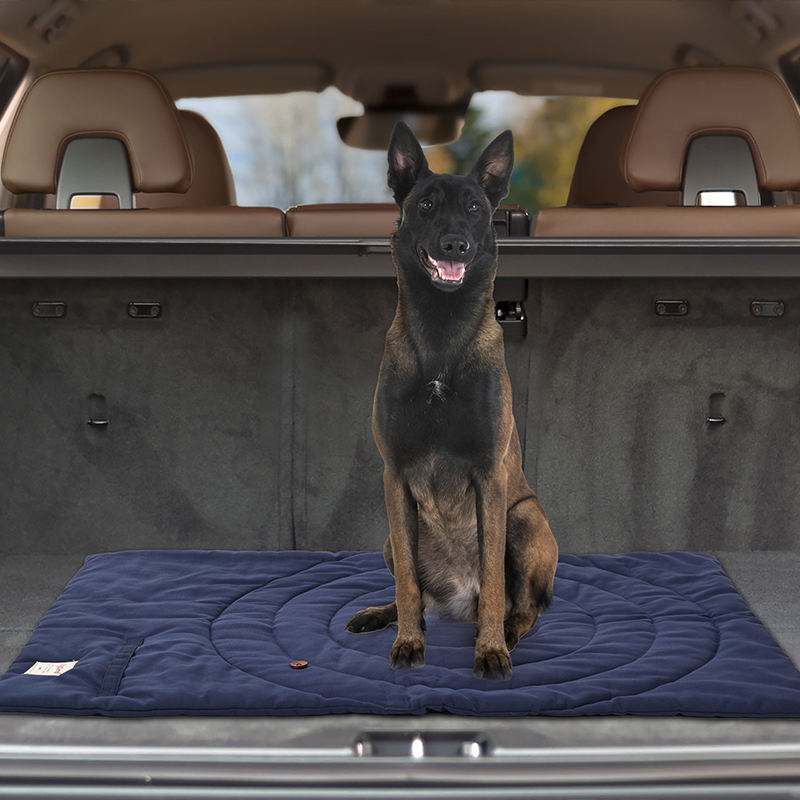 Portable Pet Mat Foldable Pet  - Outdoor Camping Rug Waterproof review and price